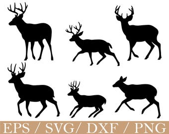 Maultierhirsch svg, Reh Silhouette, Dxf, Png