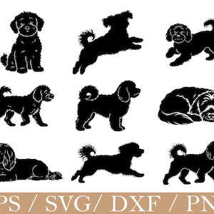 May include: A collection of nine black silhouettes of curly-haired dogs in various poses, including sitting, jumping, walking, and lying down. The bottom of the image features the text EPS / SVG / DXF / PNG in white on a tan background.