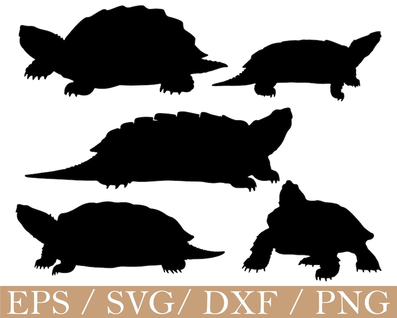 Snapper Turtle Dxf Alligator Snapping Turtle Svg, Turtle Silhouette, Dxf, Png - Etsy
