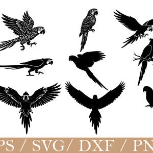 May include: A collection of black and white vector illustrations featuring various parrots in flight and perched positions. The designs include detailed silhouettes and ornate patterns, presented as a digital graphic set labeled EPS, SVG, DXF, and PNG.