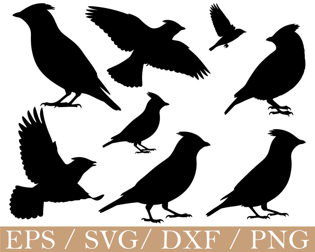 Cedar Waxwing Svg, Cedar Waxwing Silhouette, Dxf, Png - Etsy
