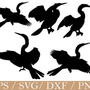 Peut inclure: Cinq silhouettes noires d'oiseaux dans différentes poses, dont en vol et debout. Les oiseaux ont de longs cous et becs, avec leurs ailes déployées ou repliées. Le bas de l'image contient le texte "EPS / SVG / DXF / PNG".