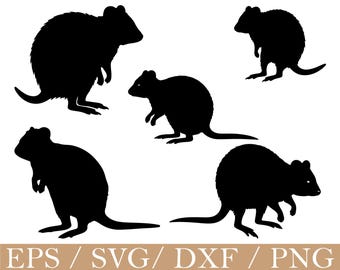 Quokka Svg, Quokka Silhouette,  Dxf, Png