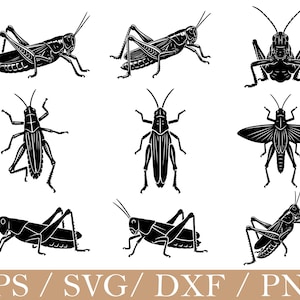 Puede incluir: Una colección de nueve ilustraciones gráficas en blanco y negro de saltamontes en varias poses, incluyendo vistas laterales, superiores y en vuelo. La parte inferior de la imagen muestra el texto EPS / SVG / DXF / PNG en blanco sobre fondo beige.
