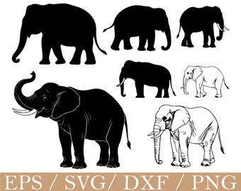 Elefante Svg, Silhouette di elefante, Dxf, Png