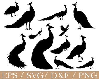 Pavo real Svg, Silueta de pavo real, Dxf, Png