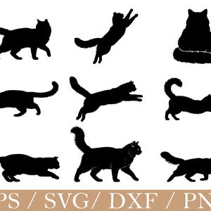 May include: A collection of nine black silhouettes of cats in various poses, including walking, jumping, stretching, and sitting. The graphic set is presented against a plain white background with the text EPS / SVG / DXF / PNG at the bottom.
