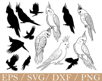 Cockatiel Bird Svg, Cockatiel Silhouette, Dxf, Png
