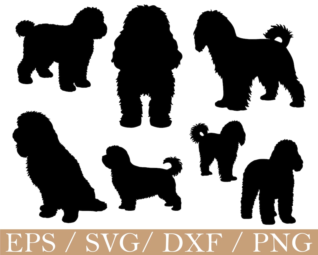 Cavapoo Silh Cavapoo Dog Svg, Cavapoo Dog Silhouette, Dxf, Png - Etsy
