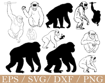 Chimpancé Svg, Silueta de chimpancé, Dxf, Png