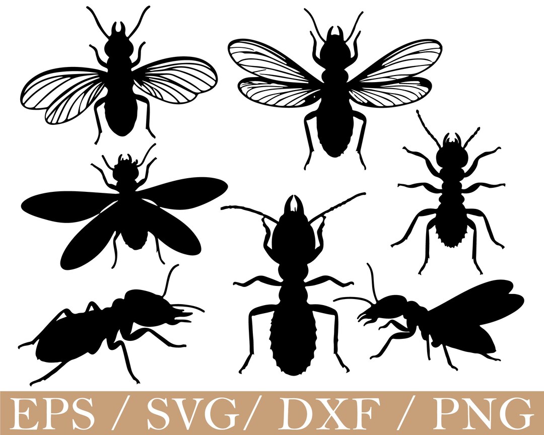 Insect Dxf Termite Insect Svg, Termite Insect Silhouette, Dxf, Png - Etsy