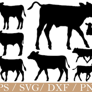 May include: A set of black cow silhouettes in different poses, such as standing, walking, and lying down. The image includes several calf illustrations, ideal for digital design. The bottom of the image displays the text "EPS / SVG / DXF / PNG".
