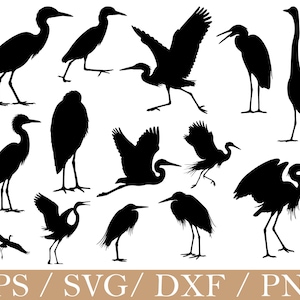 Pode incluir: Uma coleção de silhuetas pretas de garças em várias poses, incluindo em pé, voando e com o bico aberto. A imagem inclui o texto "EPS / SVG / DXF / PNG" na parte inferior, indicando formatos de arquivo.