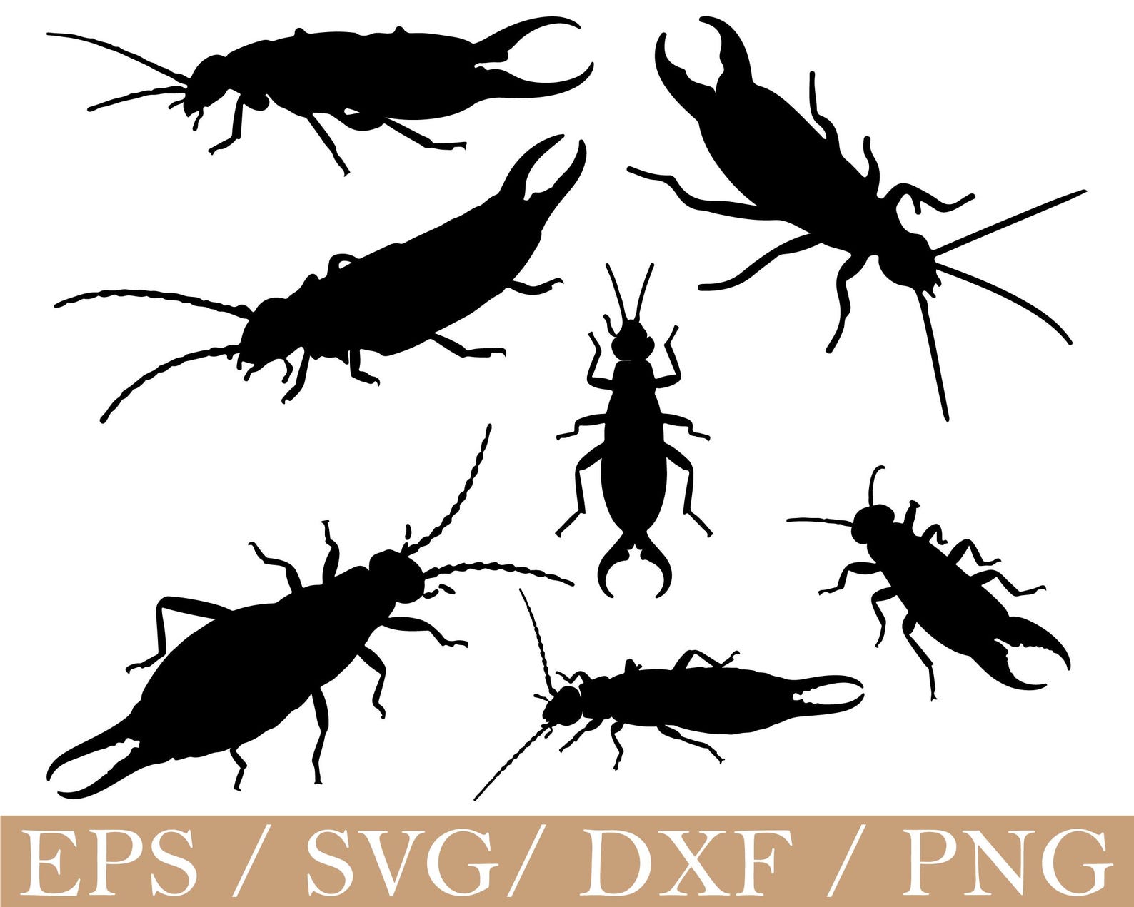 Insect Dxf Earwig Insect Svg, Insect Silhouette, Dxf, Png - Etsy