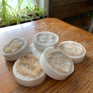 Può includere: Una collezione di saponi rotondi bianchi con una luffa naturale incorporata al centro. I saponi sono disposti su una superficie di legno. La luffa è di colore marrone chiaro, in contrasto con il sapone bianco. Luce naturale.