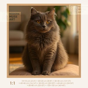 Può includere: Stampa incorniciata di un gatto grigio con occhi color ambra. Il gatto è seduto su un cuscino, all'interno di una cornice di legno. L'opera è etichettata "MODERN MUSE ART" e include opzioni di dimensioni, a partire da 10x10 cm.
