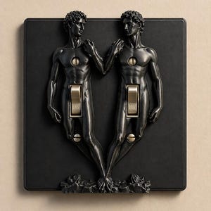 Copriinterruttore nero con scultura classica / Placca per interruttore con David gotico / Decorazione per la casa unica / Opera d'arte da parete di grande impatto / Placca per interruttore realizzata a mano