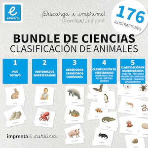 Op de afbeelding: Educatieve bundel met dierclassificatiekaarten. Bevat illustraties van verschillende dieren, gecategoriseerd op type, zoals gewervelden, ongewervelden en hun dieet. De set bevat 176 illustraties. Tekst: "Download en print".