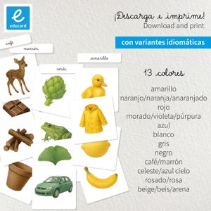 Peut inclure: Cartes éducatives avec des illustrations d'objets et de couleurs, dont un imperméable jaune, une grenouille verte et une banane jaune. Le texte "Téléchargez et imprimez" est visible, ainsi qu'une liste de 13 couleurs.