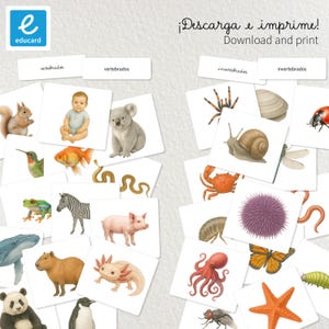 Peut inclure: Cartes éducatives illustrant des animaux vertébrés et invertébrés. Les cartes présentent des images d'animaux comme un écureuil, un bébé, un koala, une araignée et un escargot. Le texte "Téléchargez et imprimez" est également visible.