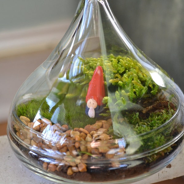 moss terrarium