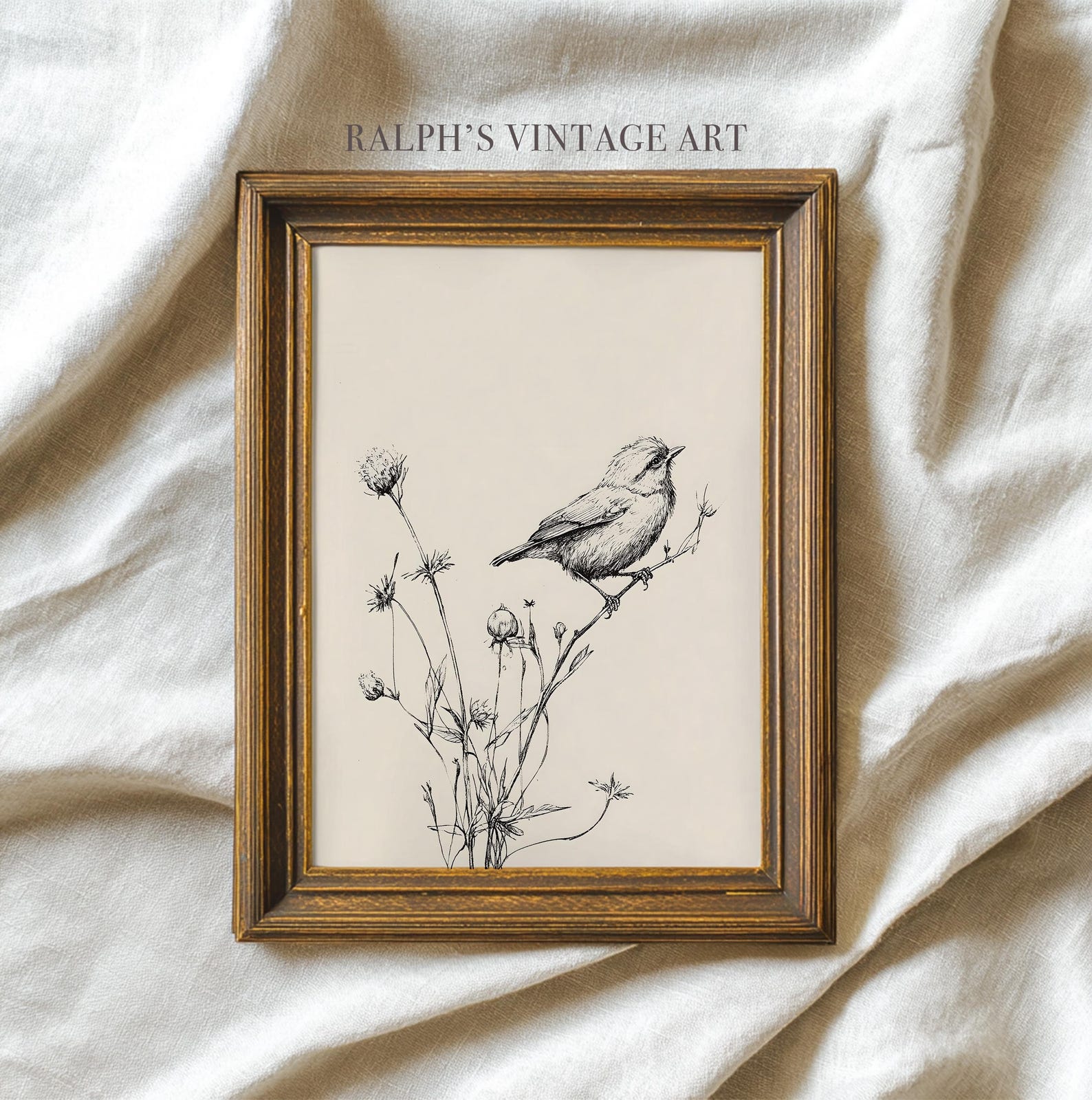 24x36 - Perched Bird Botanical Sketch: Vintage-Style Ink Illustration Print