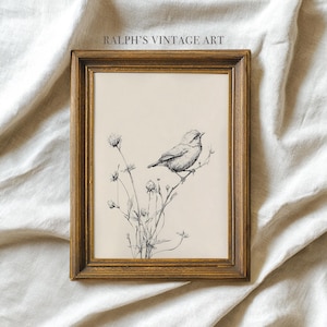 Perched Bird Botanical Sketch: Vintage-Style Ink Illustration Print