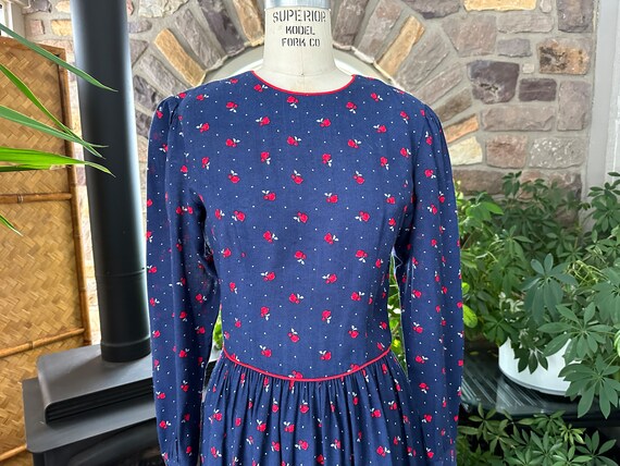Vintage 1970s Blue Red and White Floral Rose Dres… - image 2
