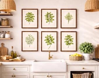 Botanical Herb Wall Art Set of Digital Prints | Vintage Kitchen | Rustic Farmhouse