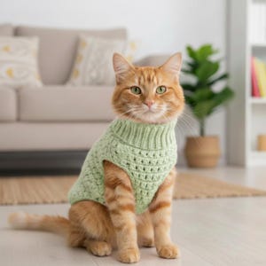 Puede incluir: Un gato atigrado naranja lleva puesto un suéter sin mangas tejido a mano en color verde claro. El suéter presenta un cuello alto acanalado y un patrón de tejido de ganchillo grueso y texturizado que cubre el torso del felino.