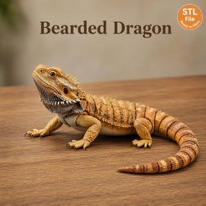 Könnte beinhalten: Eine bewegliche Bartagamen-Figur in Beige- und Brauntönen mit stacheligem Kehlsack und segmentiertem Schwanz. Der Text "Bearded Dragon" und ein kreisförmiges "STL File Ready to Print"-Abzeichen sind über der Echsenfigur zu sehen.
