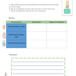 May include: A science experiment worksheet with instructions and a table to record observations. The instructions involve rubbing soap on a hand and comparing its movement in water. The worksheet includes a section for results and a conclusion.