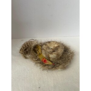 J J Haggary Pilgrim Feather Hat Women display picture 2