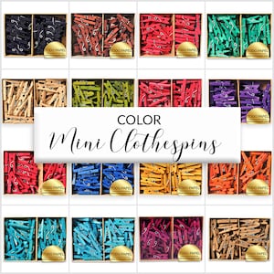 Box of 50 Mini Hand Dyed 1" Color clothespins | Choose from 16 Vibrant Colors | Perfect for holding labels, photos, place cards | Garlands
