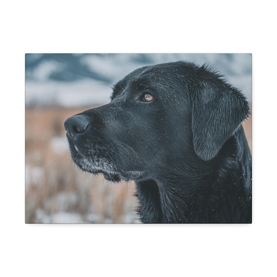 Black Lab Canvas Art, Dog Photography Print