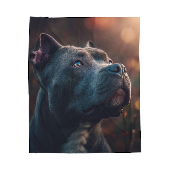 Cane Corso Dog Velveteen Plush Blanket, Cozy Pet Lover Throw