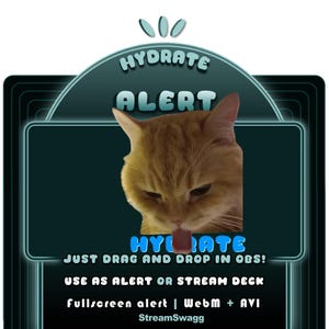 May include: A digital graphic overlay featuring a dark teal frame with the text HYDRATE ALERT and an orange cat with its tongue out. Below the cat, the text reads HYDRATE, JUST DRAG AND DROP IN OBS!, USE AS ALERT OR STREAM DECK, fullscreen alert | WebM + AVI, StreamSwagg.
