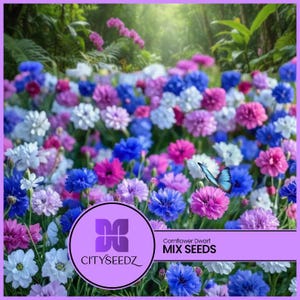 May include: A white ceramic mug with a black handle and the text "But First, Coffee" in a handwritten style. The mug is on a white surface. The mug is 4 inches tall.