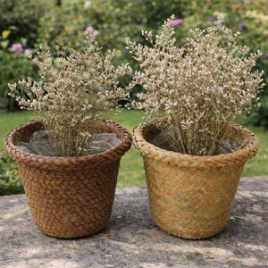 May include: Two woven baskets with dried flowers. The baskets are made of a light brown material and have a textured, basket weave design. The flowers are a light beige color and add a natural touch to the decor.