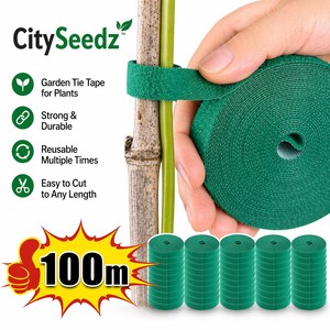 cost of snake plant 10 Inch Snake Plant Sansevieria Laurentii - Live Air Purifying Houseplant