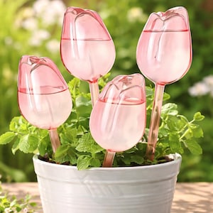 May include: Four pink tulip-shaped plant waterers filled with water, inserted into a white pot filled with green plants. The waterers are made of clear, pink-tinted glass and are designed to slowly release water into the soil.
