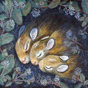 Sleeping Bunnies Print- &#39;Wonderland&#39;- Unframed 6&quot; x 6&quot; Lim. Ed. Giclee on Canvas, Nursery Art, Made in USA