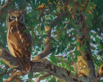 Owl Print - 'Whooo Goes There!' - Unframed 16" x 24.5 Ltd. Ed. Giclee on Canvas, Made in USA