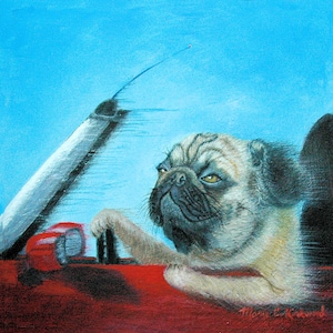 Pug in a Mini Cooper 6&quot; x 6&quot; Unframed Limited Edition Giclee Print on Canvas, Made in USA