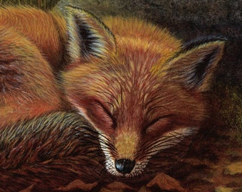 Sleeping Fox Print- 'Power Nap'- 2 sizes, Unframed Ltd. Ed. Giclee on Canvas, Made in USA