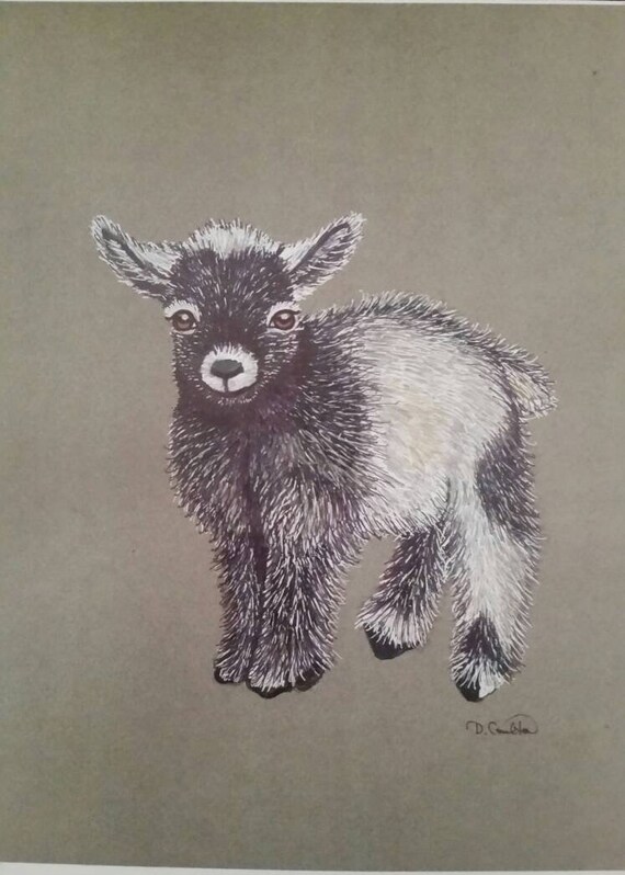 Bebe Chevre Aquarelle Imprimer Nature Peintre Etsy Bebe Chevre Aquarelle Imprimer Nature Peintre Etsy