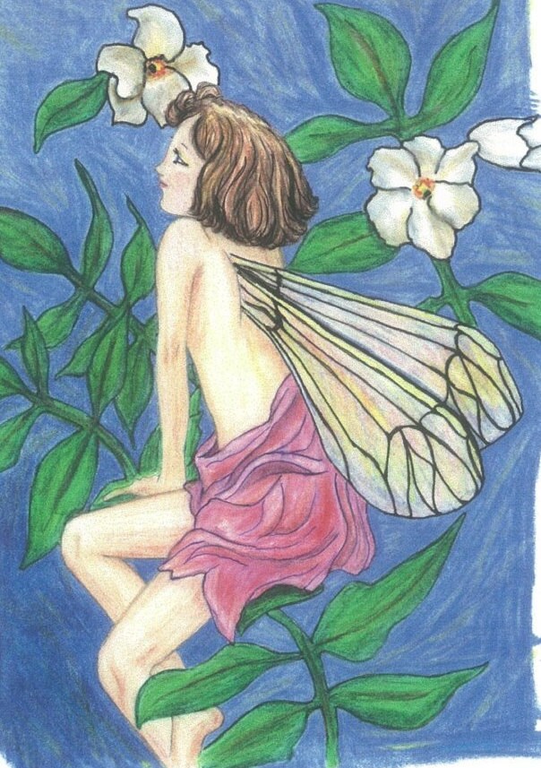 Fairy Color Pencil Drawing Print Nature Painter