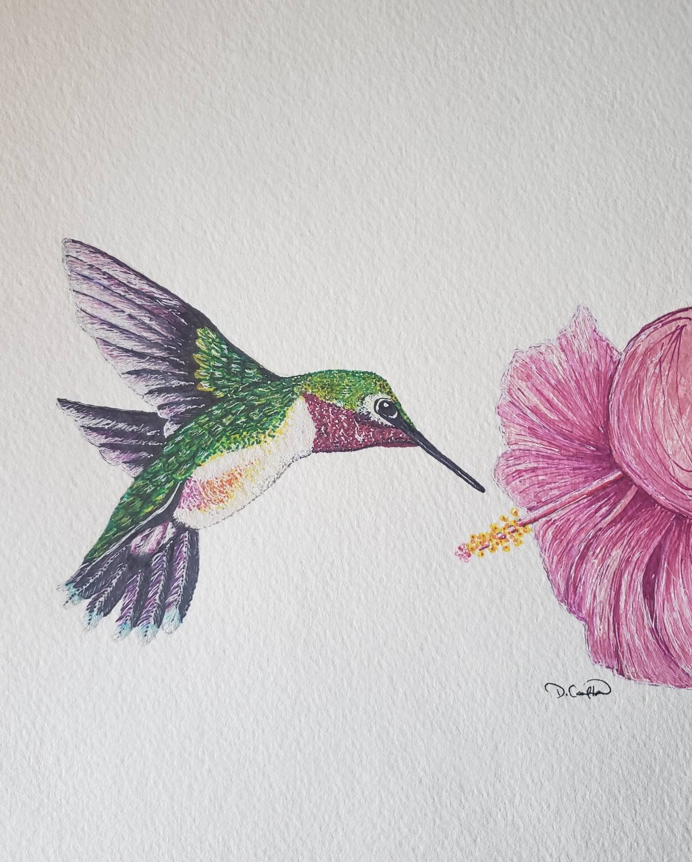 Download Hummingbird Original Watercolor Painting Nature Painter Watercolor Art Collectibles Vadel Com