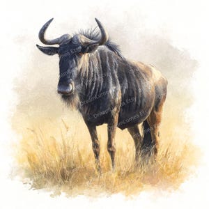 Puede incluir: Pintura a la acuarela de un ñu de pie en hierba alta y seca. El animal tiene un pelaje gris oscuro, una melena negra y cuernos grandes y curvados. El fondo es de un color suave y neutro, lo que sugiere un paisaje de sabana. La obra está firmada "DreamLumea Etsy".