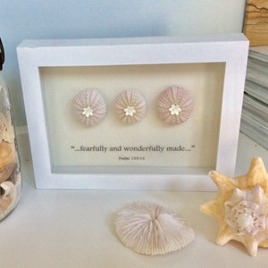 Baby Girl Nursery Fearfully and Wonderfully Made Sea Urchins Pale Pink Neutral Nursery